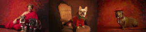 Holiday Pet Photoshoot